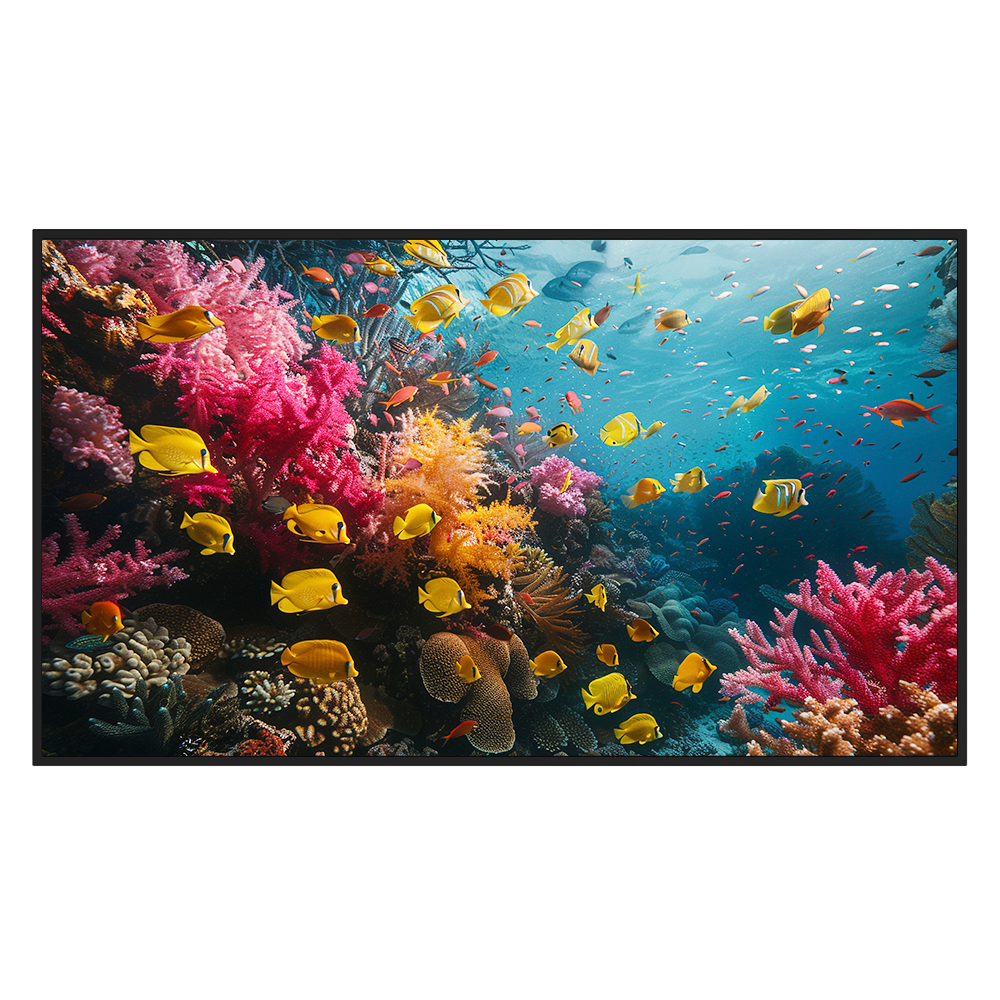 DS-D6050UH-DP"